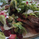 Illustration for article titled FoodTAYku: White Duck Taco Shop